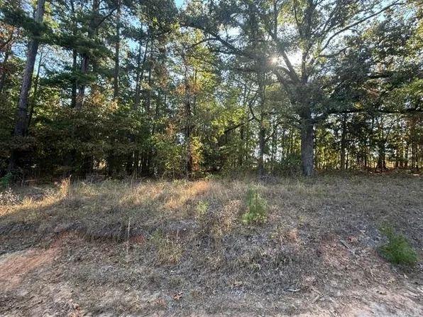 Morningside Cir, Avinger, TX 75630