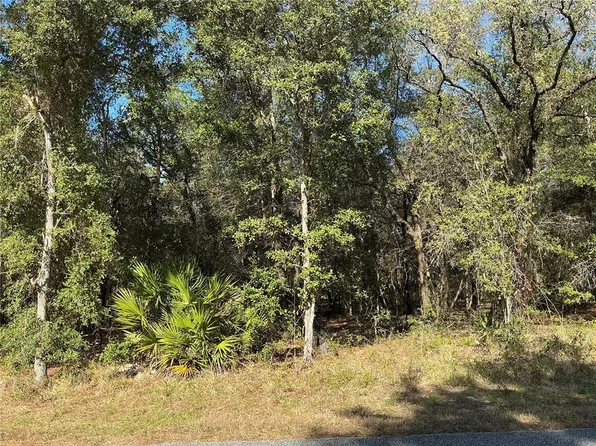 2039 E Newhaven St Lot 3, Inverness, FL 34453