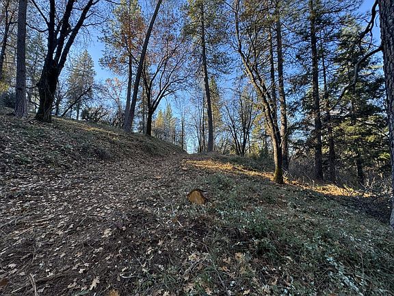 4th image of Sly Park