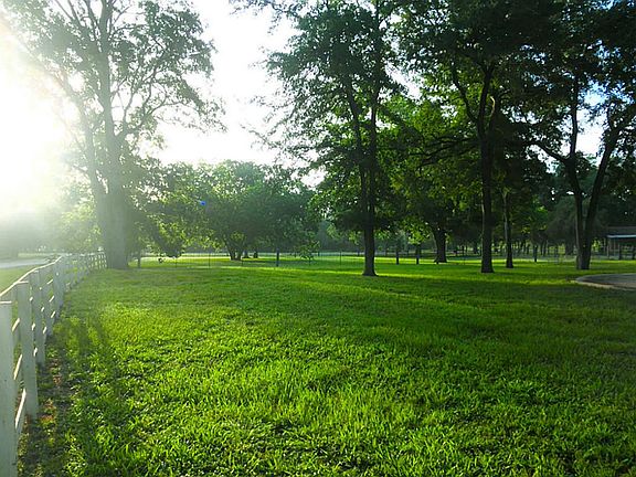 Standing at the driveway, looking east across the front yard.