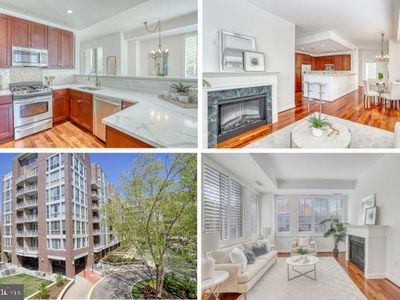 513 W Broad St APT 202, Falls Church, VA, 22046