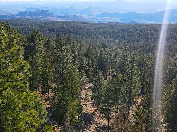 2nd image of 34 Morgan Mountain Trail