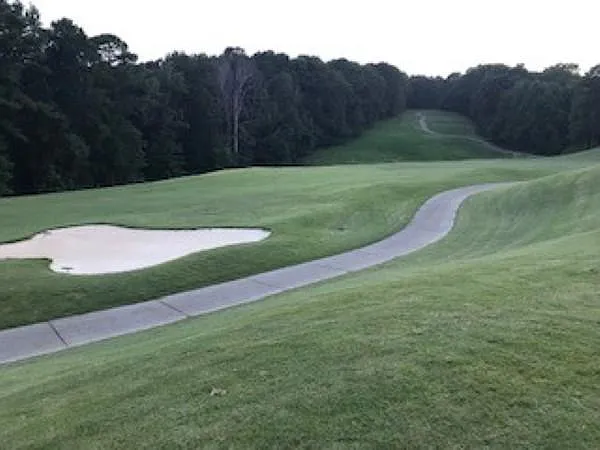 A look down the fairway at the rear of the backyard