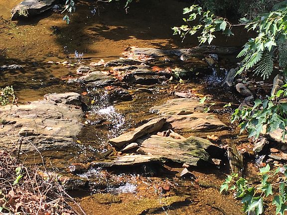 Babbling Creek Backyard 166'