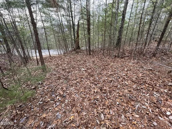 79 Whetstone Rd Lot 79, Sevierville, TN 37862