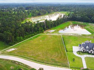 2028 Stallion Lakes Ave, Hockley, TX 77447