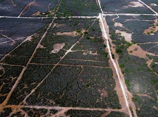 128 Salyer Rd, George West, TX 78022