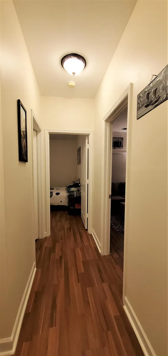 Hallway to 2nd bedroom and bonus room - 10624 Hill Point Ct