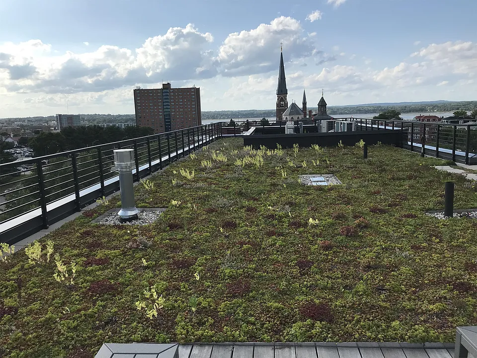 Rooftop green and terrace