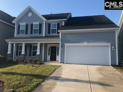 1351 Tamarind Ln, Chapin, SC, 29036