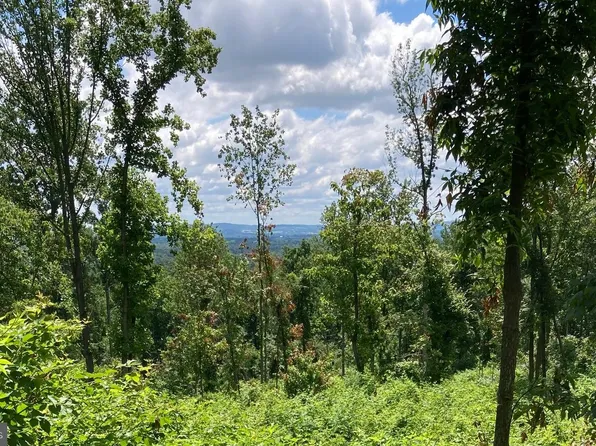 13477 Mountain Rd, Lovettsville, VA 20180