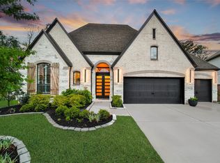 316 Mallory Ct, Montgomery, TX 77316