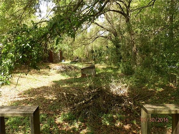 4th image of 10335 Frierson Lake Dr