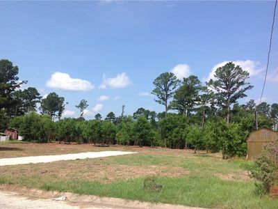 125 Alum Creek Dr, Paige, TX, 78659