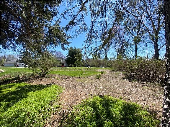 4th image of 9116 Frenchmans Creek Dr