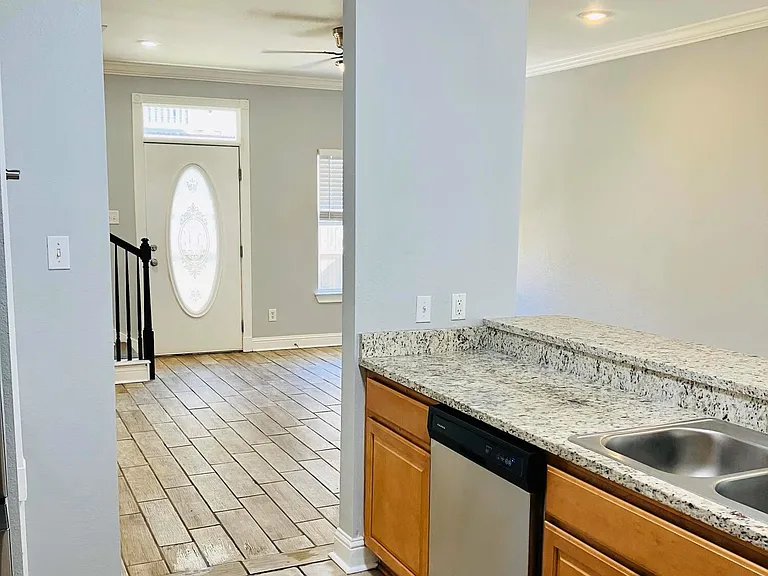1338 Tropical Cv — Photo 3