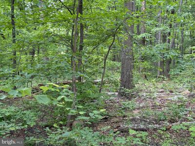 LOT 12 Raccoon Dr, Winchester, VA, 22602