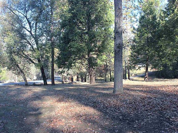 4th image of Jimmie Bell St #52