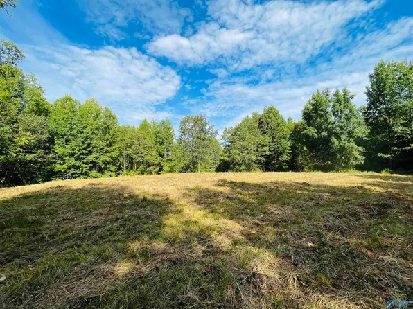 Old Highway 227, Langston, AL 35755