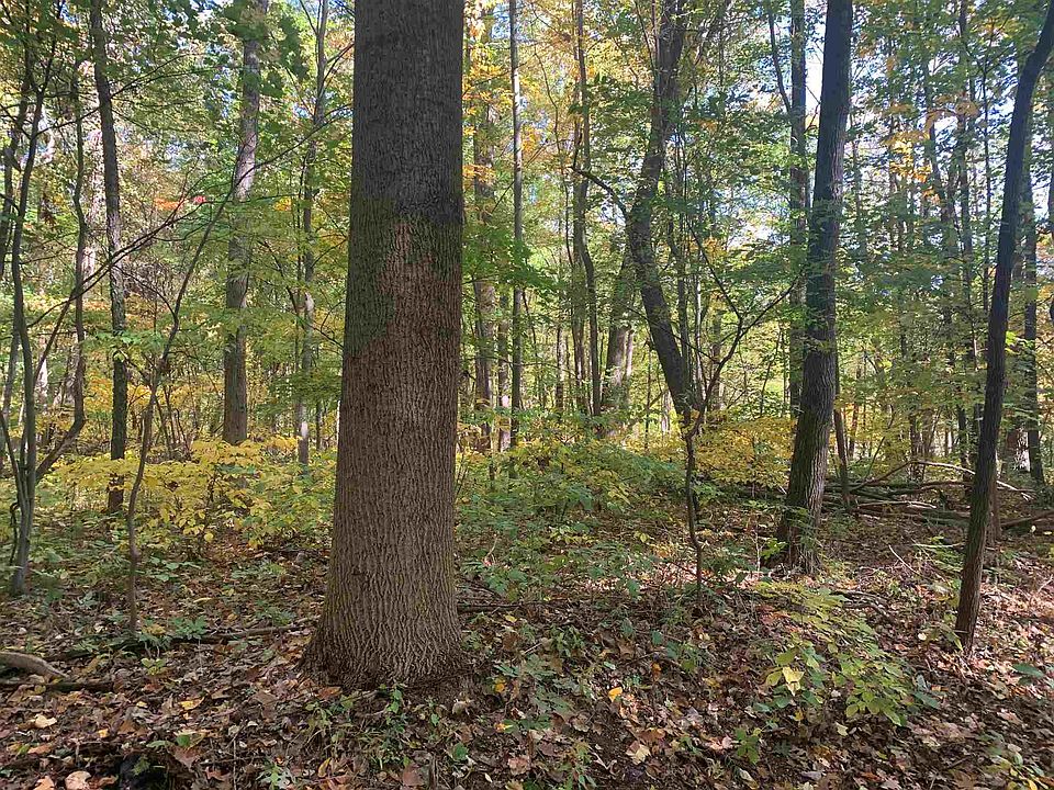 2nd image of 13274 11b Rd