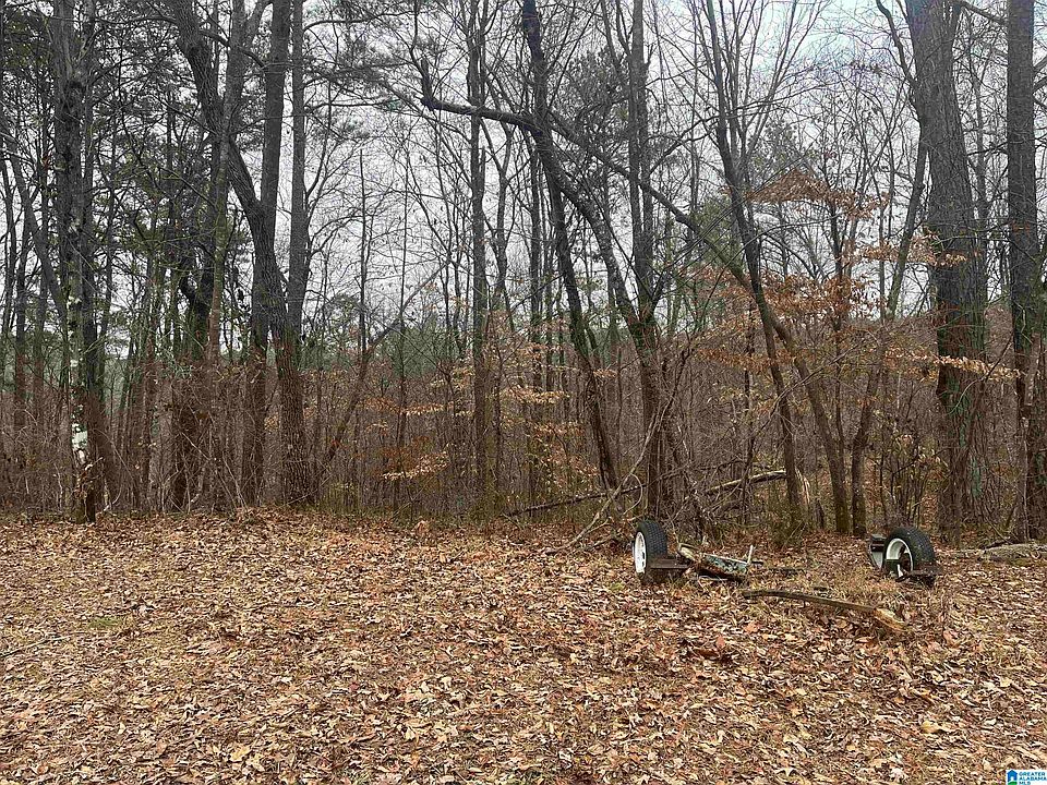 2nd image of 150 River House Rd #0