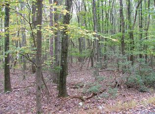 Pohopoco Dr, Kunkletown, PA 18058