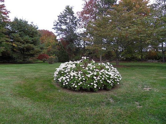 3rd image of 3 Kara Lynn Dr