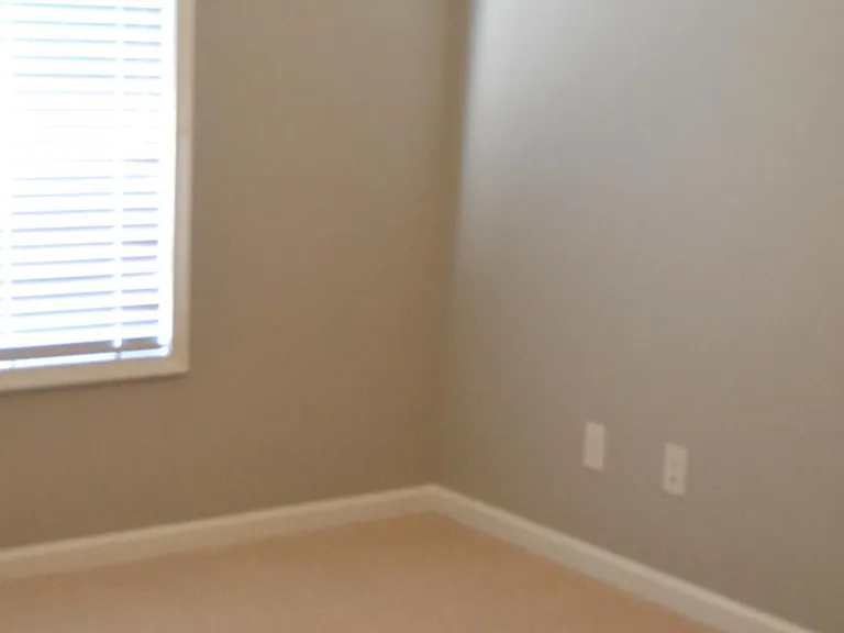 285 Snowgoose Ct — Photo 6