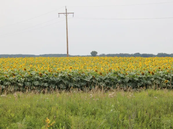 0 State Highway 219 NE, Goodridge, MN 56725