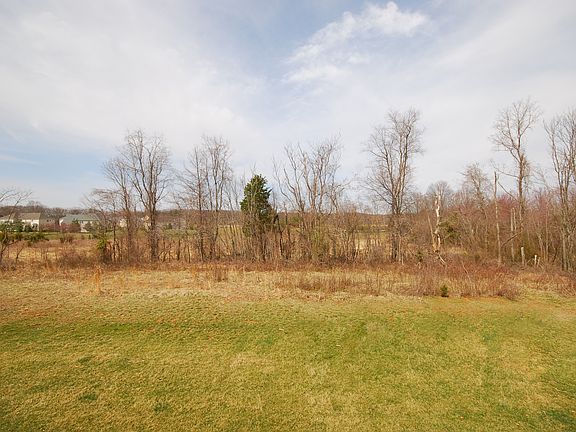 View of Back Yard
