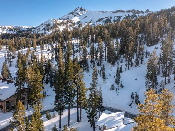 115 Palisades Dr, Kirkwood, CA 95646