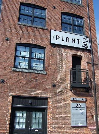 The Plant