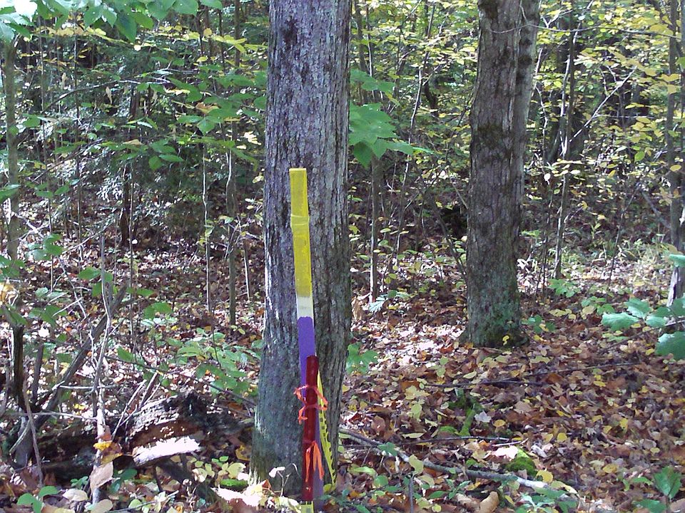 00 Corbett Hollow Rd, Bradford, NY 14815 Zillow