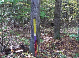 00 Corbett Hollow Rd, Bradford, NY 14815
