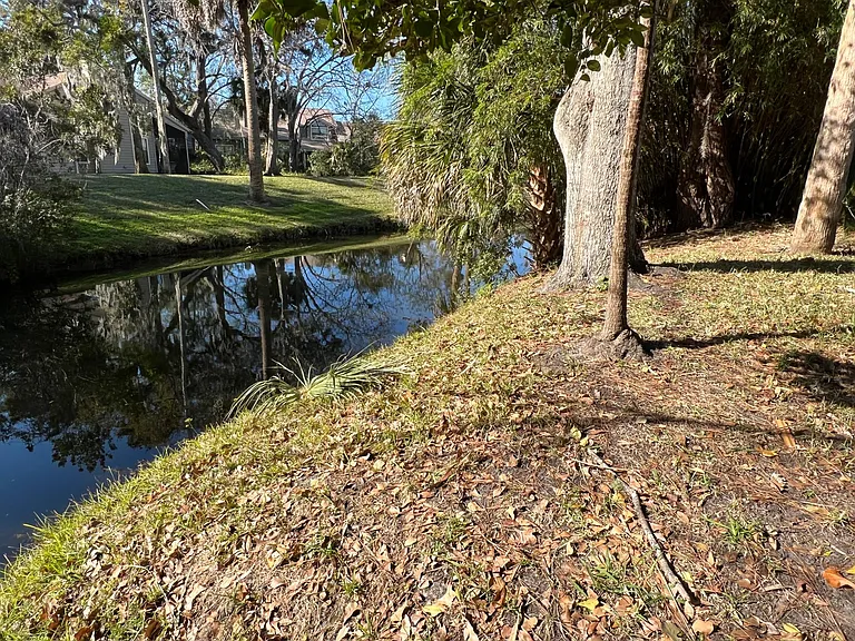 Backyard Creek