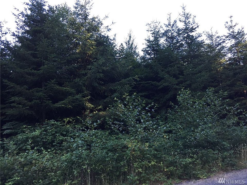 2nd image of 0 S Toutle Rd Lot 1