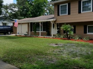 2309 Green Lawn St, Brandon, FL 33511
