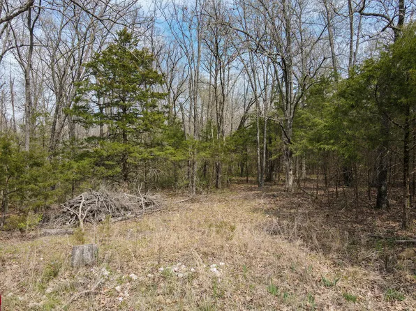 36 Lookout Trail, Fair Grove, MO 65648