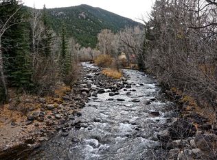 5421 Silver Lakes Dr, Dumont, CO 80436