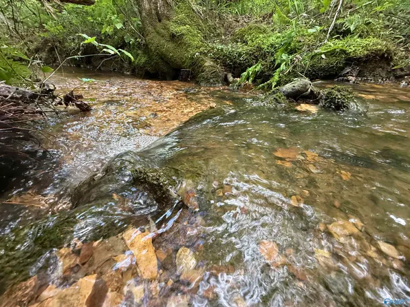 235 County Road 641, Mentone, AL 35984