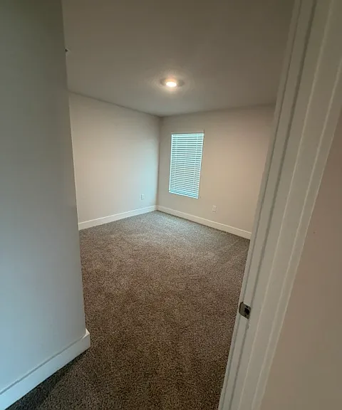 3338 Garganey Rd — Photo 12