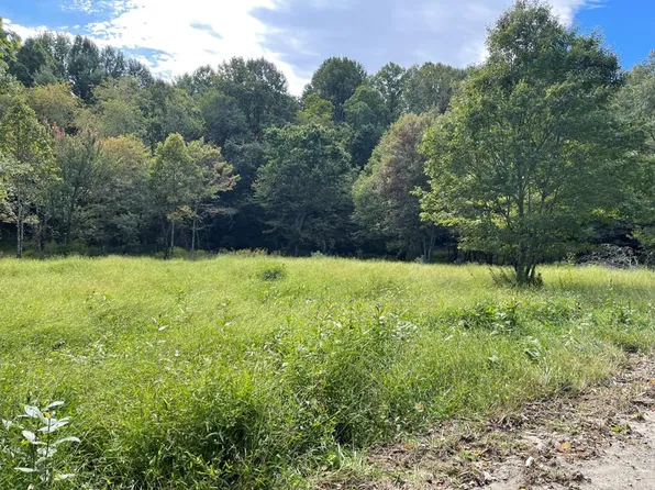 Tbd Ben Ridge Rd, Laurel Fork, VA 24352