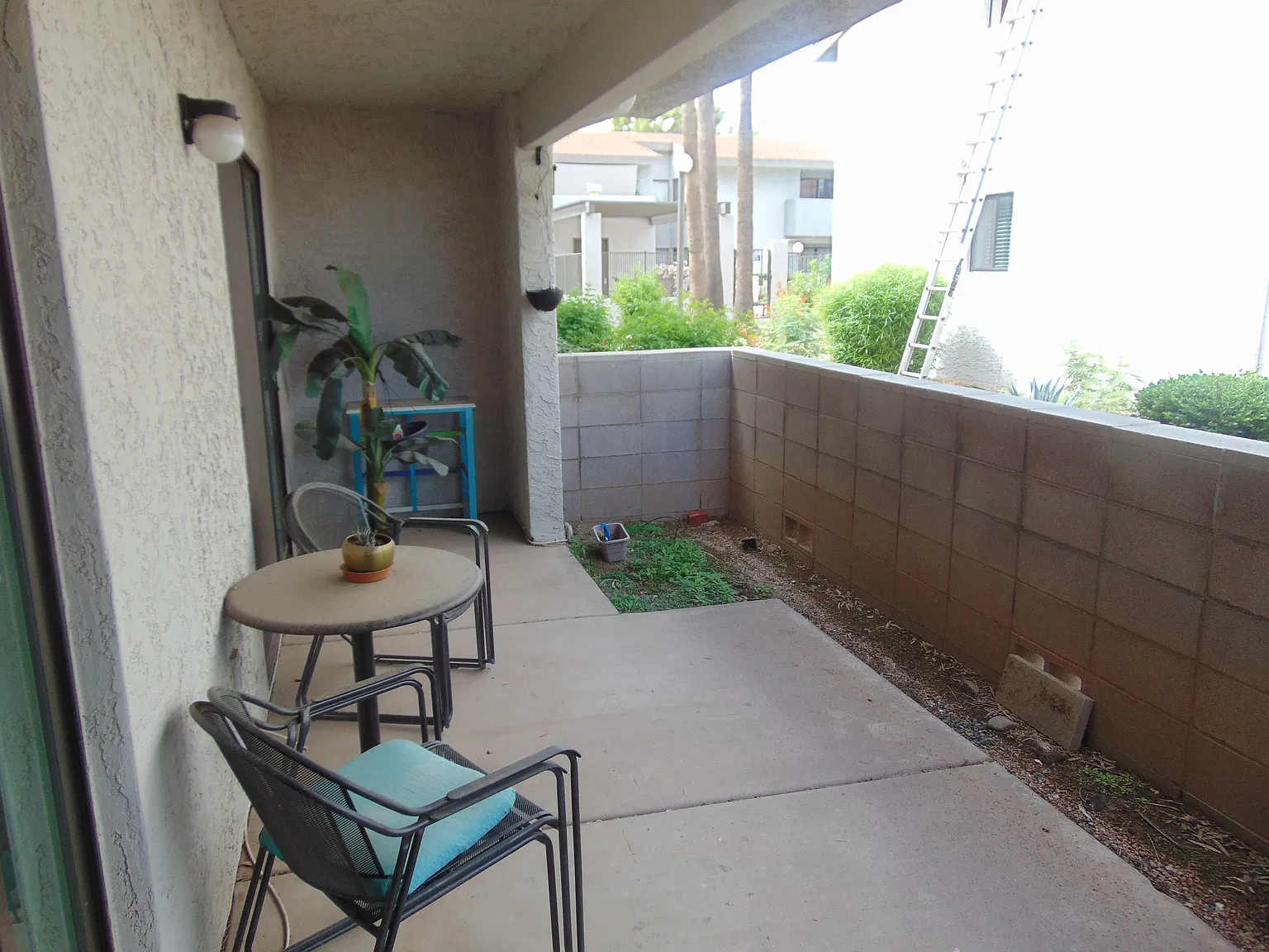 1 bed, 860 sqft, $1,500 — Photo 3
