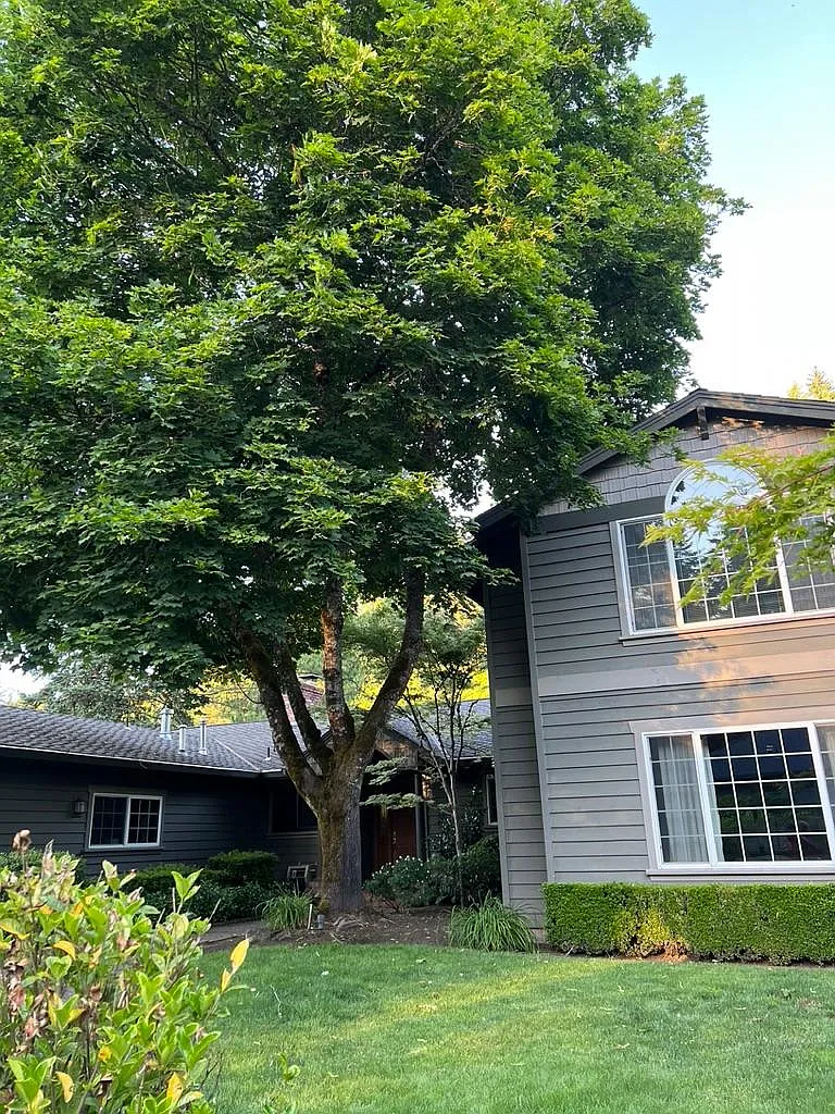 Cardinal Dr, Lake Oswego — Photo 4