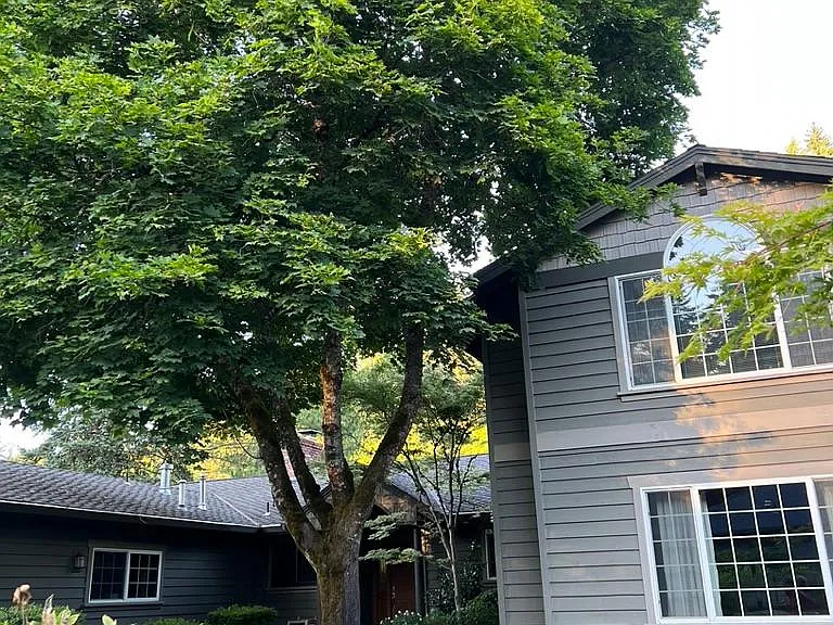 Lush landscaping