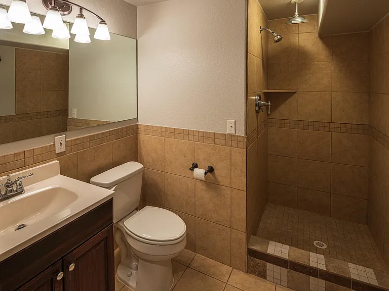 Basement bathroom