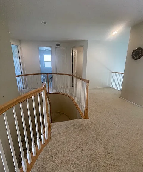 11674 Candy Rose Way — Photo 29