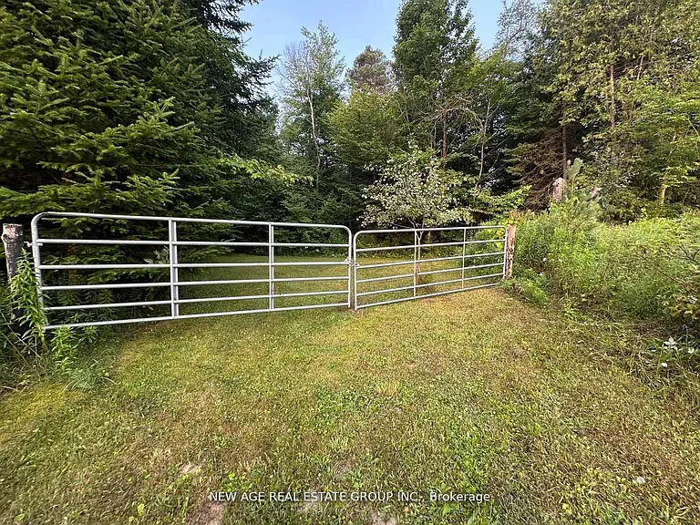9031 Side Road 17 — Photo 35