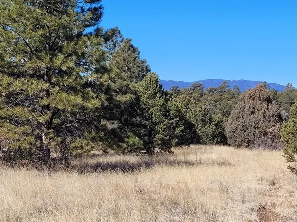 59 Silver Feather Trl, Pecos, NM 87552