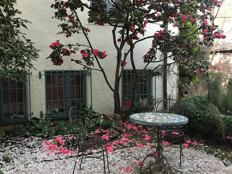 Shared courtyard in the spring (cherry blossom season!)